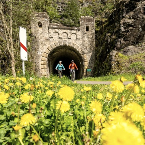 Enz-Radweg, ancien tunnel ferroviaire près de Neuerburg, © Eifel Tourismus GmbH, Dominik Ketz