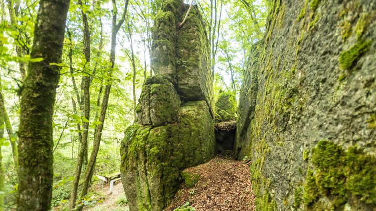 Moosbedeckte Felsformation im Wald am Schneifel-Pfad.