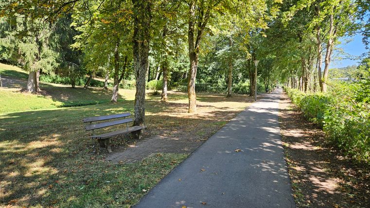 Ein ruhiger Weg, umgeben von Bäumen, führt durch den Park. Eine Bank lädt zum Verweilen ein.