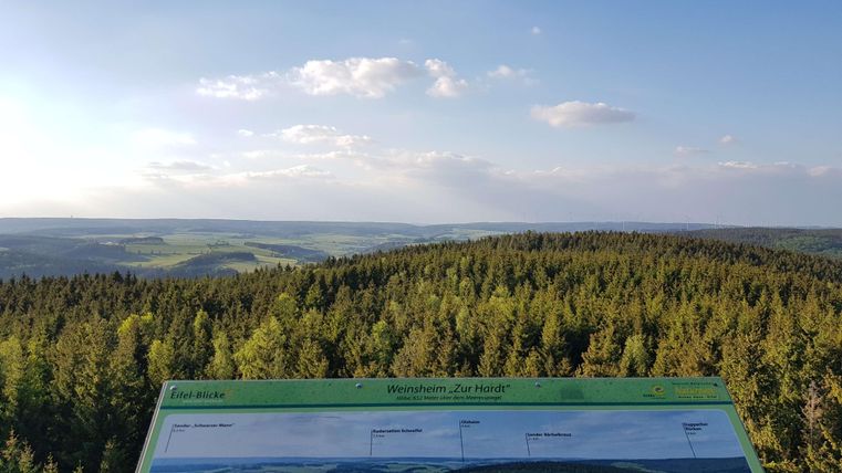 A beautiful view of a wooded landscape with a clear sky. In the foreground, an information sign can be seen.
