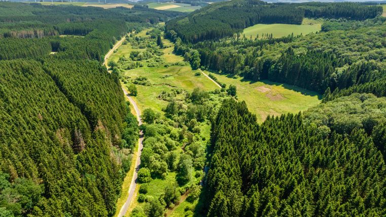 A picturesque forest landscape with green trees and a clear sky. In the valley, a narrow river valley runs, surrounded by lush greenery.