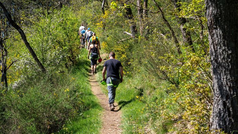 A group of people is hiking on a narrow path through a wooded area. The surroundings are green and full of fresh spring plants.