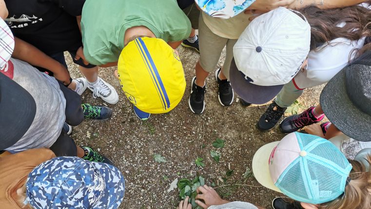 Eine Gruppe von Kindern steht im Kreis und schaut aufmerksam auf den Boden. Sie tragen verschiedene Hüte und untersuchen etwas im Erdreich.