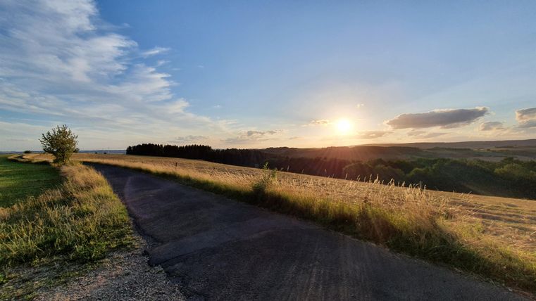 Ein malerischer Weg führt durch offene Felder unter einem klaren Himmel. Die Sonne geht am Horizont unter und taucht die Landschaft in warmes Licht.
