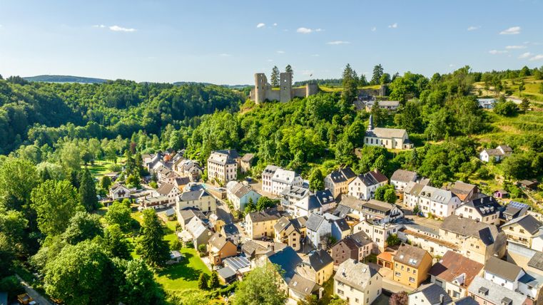 A picturesque town with many houses and plenty of green space. In the background, an impressive castle can be seen on a hill.