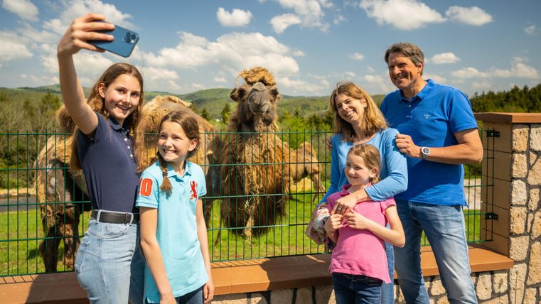 Une famille prend un selfie devant deux chameaux. Le ciel est bleu et il fait beau.