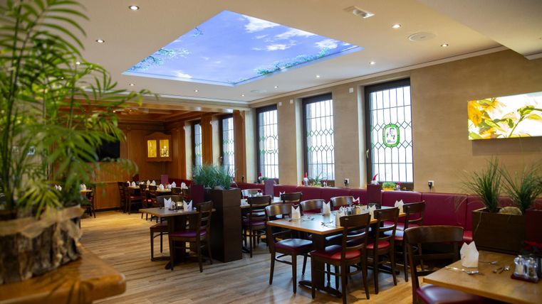 Ein einladendes Restaurant mit Holzböden und gemütlichen Tischen. Die Decke zeigt einen blauen Himmel, was eine freundliche Atmosphäre schafft.