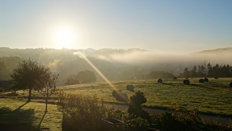 Eine malerische Landschaft im Morgenlicht mit Nebel und einem strahlenden Sonnenaufgang. Über die Wiesen verteilt stehen Heuballen und Bäume.