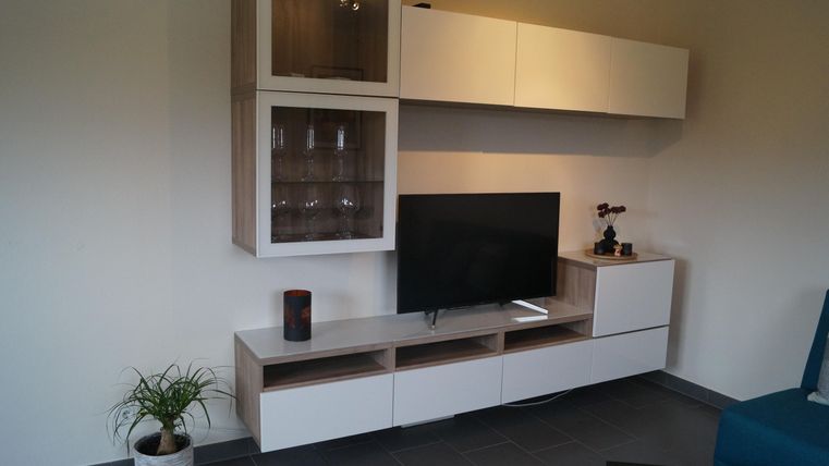 Ein modernes Wohnzimmer mit einer stilvollen Fernseherwand. Im Raum befinden sich ein Pflanzenkübel und eine blaue Couch.