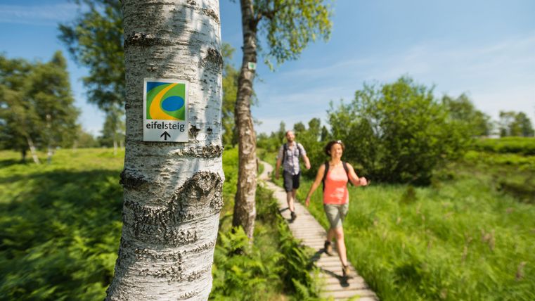 Eine Frau und ein Mann wandern auf einem Holzweg durch eine grüne Landschaft. An einem Baum ist ein Wegemarkierungsschild für den Eifelsteig sichtbar.