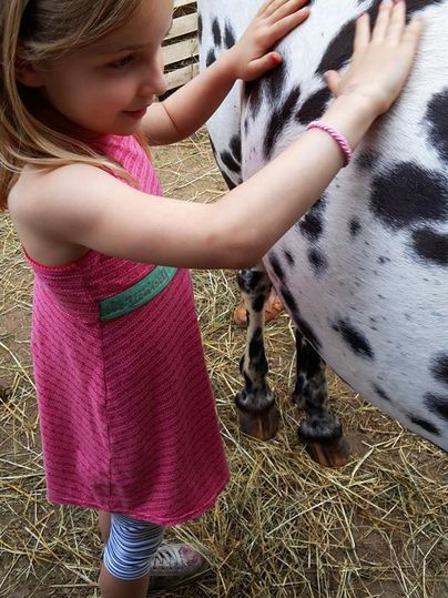 Ein kleines Mädchen streichelt ein geflecktes Pferd. Sie steht auf einer Strohbodenerde und lächelt.