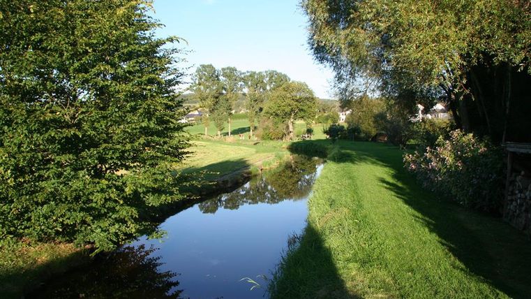 Ein ruhiger Bach fließt durch eine grüne Landschaft mit Bäumen und Wiesen. Die natürliche Umgebung spiegelt sich sanft im Wasser wider.