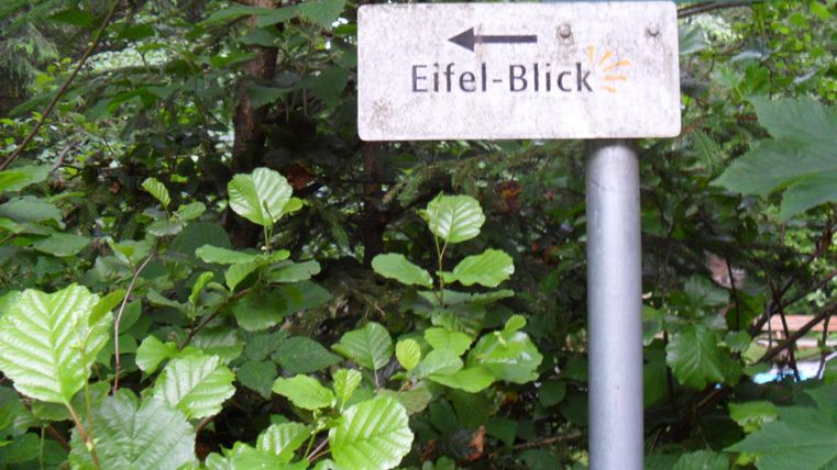 Ein Wegweiser zeigt in Richtung "Eifel-Blick". Umgeben von grünen Blättern vermittelt er ein Gefühl der Natur.
