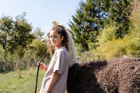 Eine Gruppe von Menschen spaziert mit Alpakas auf einer grünen Wiese. Im Hintergrund sind Bäume und Hügel zu sehen.