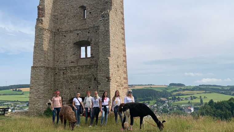 Eine Gruppe von Menschen spaziert mit Alpakas auf einer grünen Wiese. Im Hintergrund sind Bäume und Hügel zu sehen.