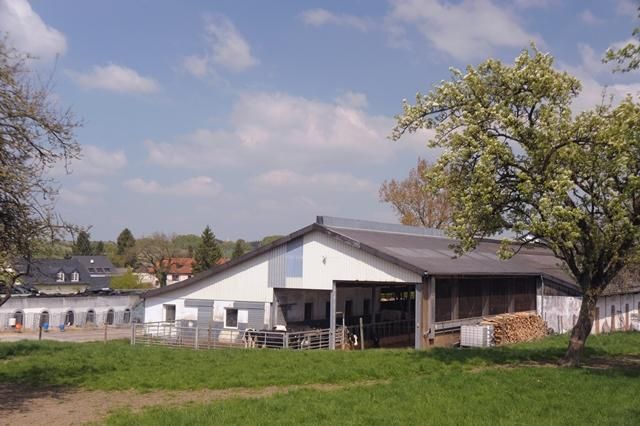 Ein Bauernhof mit einem modernen Stall und einem grünen Grasbereich. Im Hintergrund sind Bäume und ein weiteres Gebäud sichtbar unter einem blauen Himmel.