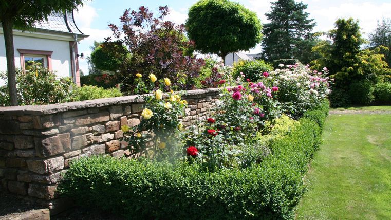 Ein schöner Garten mit einer Blumenbeet aus Rosen und anderen Pflanzen. Im Hintergrund sieht man einen Steingartenzaun und gepflegte Bäume.