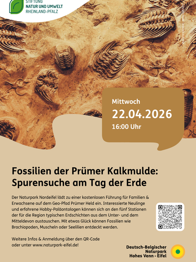 Ein Flyer für eine Veranstaltung zur Fossilien-Suche in der Prümer Kalkmulde. Das Event findet am 22. April 2026 statt und richtet sich an Familien und Kinder.