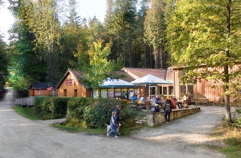 A cozy café in the woods with terrace seating. Surrounded by trees and hiking trails, visitors enjoy nature.