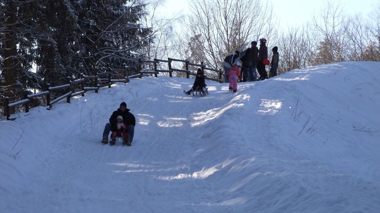 Ein verschneiter Hang zum Rodeln mit mehreren Personen, die auf Schlitten hinunterfahren. Im Hintergrund sind weitere Menschen zu sehen, die auf der Piste stehen.