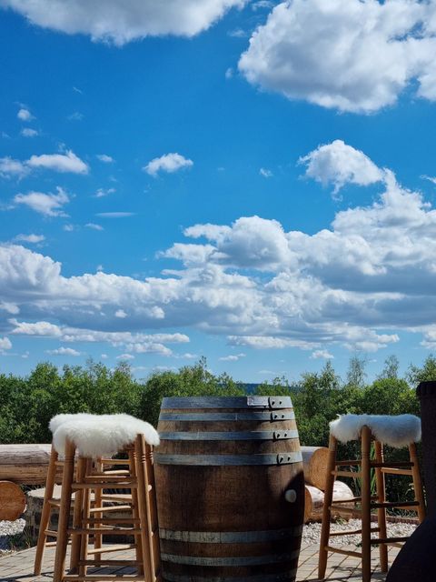 Ein Weingeschäft mit mehreren Regalen, die mit Weinflaschen gefüllt sind. Im Vordergrund stehen einige Weinflaschen und Trauben.