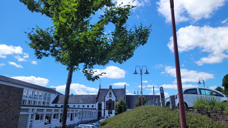 A sunny view with a tree and a blue sky filled with clouds. In the background, a building with architectural details can be seen.