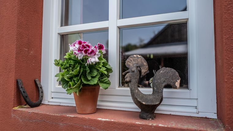 Ein Fensterbrett mit einer Blume in einem Topf und einem dekorativen Hahn aus Metall. Neben dem Topf liegt ein Hufeisen.