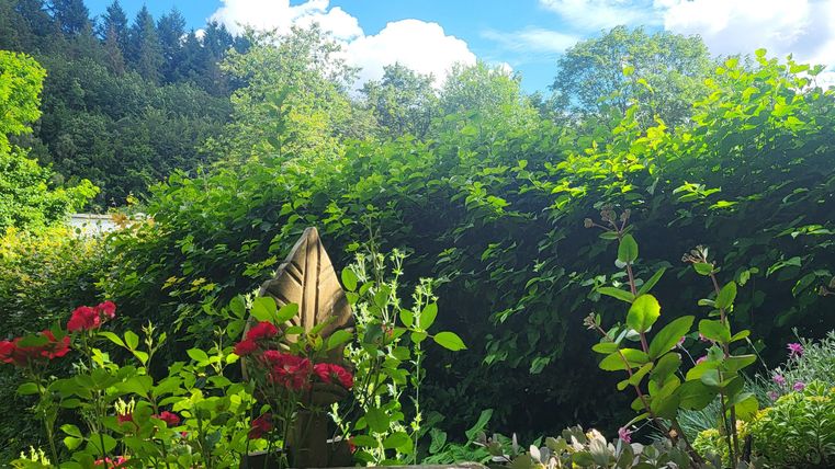 Ein schöner Garten mit bunten Blumen und viel grünem Pflanzbewuchs. Der Himmel ist blau mit einige Wolken.