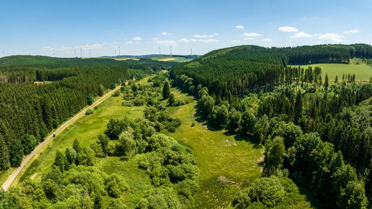 A vast landscape with dense forests and green meadows. In the background, wind turbines and a clear sky can be seen.