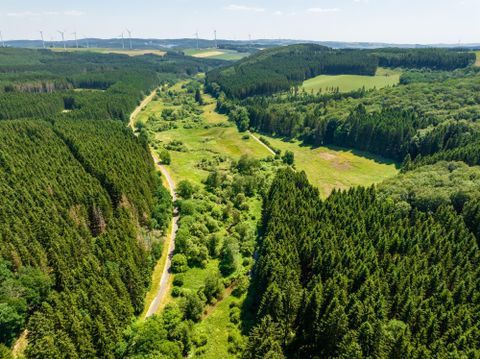 A picturesque forest landscape with green trees and a clear sky. In the valley, a narrow river valley runs, surrounded by lush greenery.