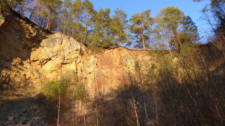 Eine steile Klippe mit Bäumen am oberen Rand. Der Himmel ist klar und der Boden ist aus Felsen und trockenem Gebüsch.