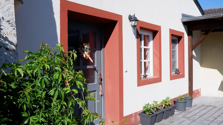 Ein charmantes Haus mit einer grauen Tür und dekorativen Fenstern. Vor dem Haus stehen Pflanzen in Töpfen.