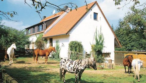 Ein schönes Haus mit einem Garten, in dem mehrere Pferde stehen. Die Umgebung ist grün und einladend.