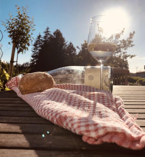Ein Tisch im Freien mit einem Glas Wein und einem Brötchen auf einem karierten Tuch. Im Hintergrund sind Bäume und ein klarer Himmel zu sehen.