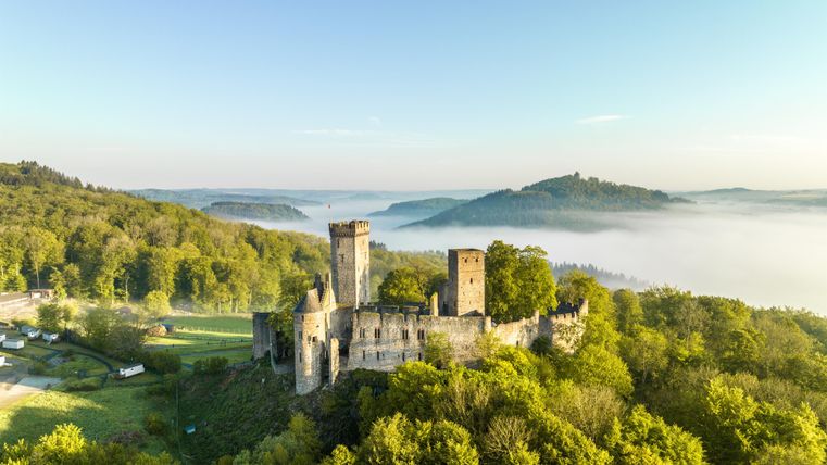 Die Kasselburg thront majestätisch über grünen Wäldern, umgeben von Nebel und sanften Hügeln unter klarem Himmel.