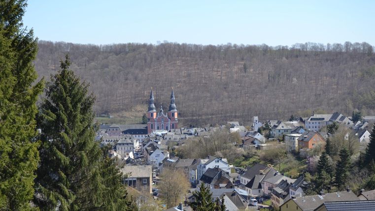 Eine malerische Stadtlandschaft mit Häusern und Bäumen. Im Hintergrund sieht man markante Kirchtürme und sanfte Hügel.
