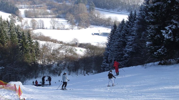Eine verschneite Ski-Piste mit mehreren Skifahrern und prächtigen, schneebedeckten Tannen. Im Hintergrund sind sanfte Hügel und eine ruhige Winterlandschaft zu sehen.