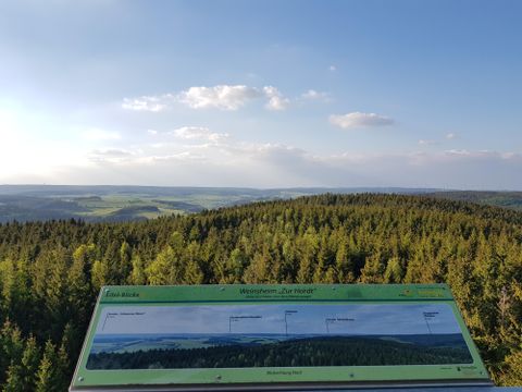 Ein Blick von einem Aussichtspunkt auf eine grüne Waldlandschaft unter einem blauen Himmel. Im Vordergrund ist ein Informationsschild zu sehen.