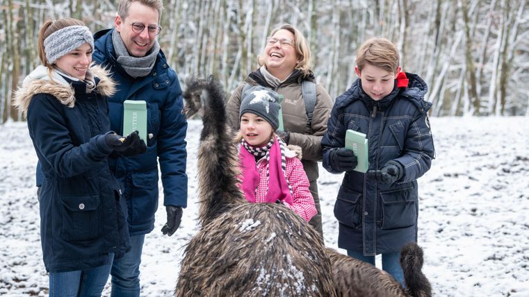Eine Familie steht in einem verschneiten Wald und lächelt. Sie halten grüne Karten in der Hand und interagieren mit einem Tier.