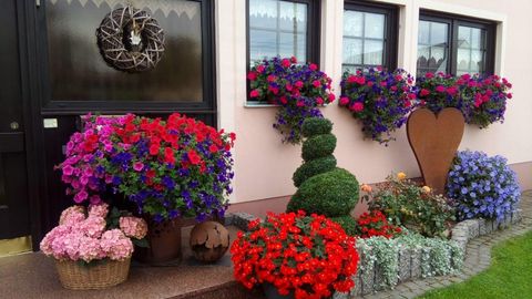 Ein schön dekorierter Eingangsbereich mit bunten Blumen in Töpfen. Der Bereich wird von einem kunstvollen, grünen Strauch und einer herzförmigen Dekoration ergänzt.