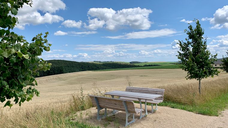 Un salon en bois avec vue sur les champs secs et les parcelles de forêt