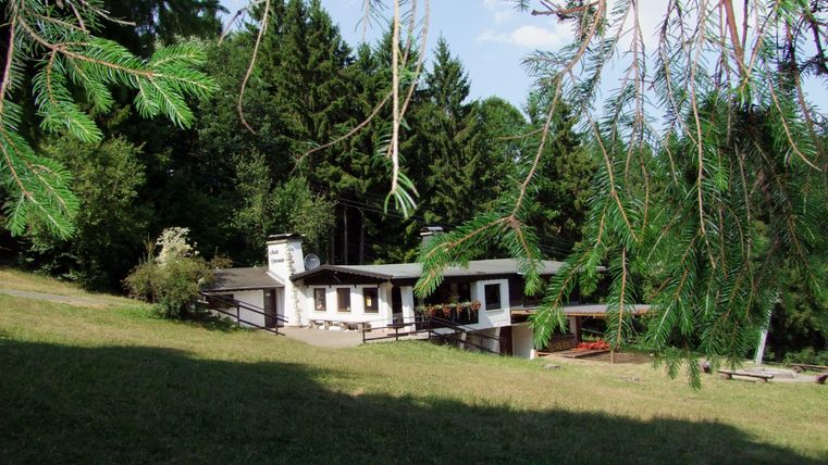 Ein ruhiges Haus umgeben von grünen Bäumen und einer sonnigen Wiese. Die Szenerie strahlt eine friedliche Naturatmosphäre aus.