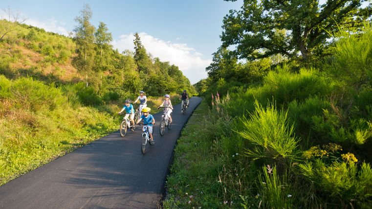 Familie fährt mit Fahrrädern auf einem asphaltierten Radweg durch grüne Landschaft.