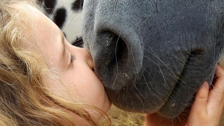 Ein kleines Mädchen küsst ein Pferd. Die Szene zeigt eine liebevolle Interaktion zwischen dem Kind und dem Tier.