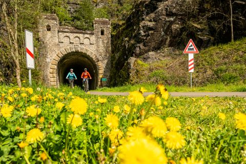 Zwei Radfahrer fahren aus einem alten Bahntunnel auf einem Radweg, umgeben von blühendem Löwenzahn.