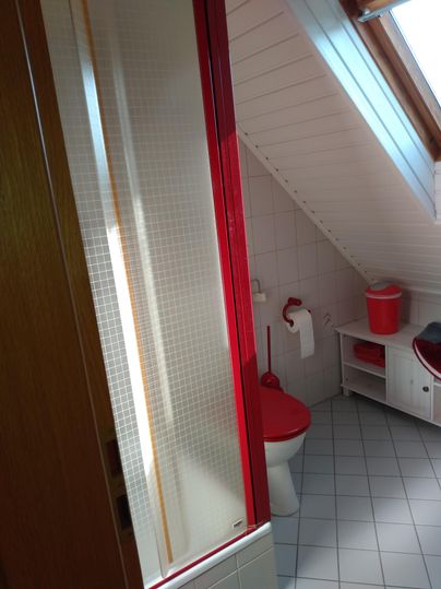 Ein Badezimmer unter dem Dach mit einer Duschkabine und roten Akzenten. Es gibt eine Toilette und einen weißen Möbelstück im Raum.