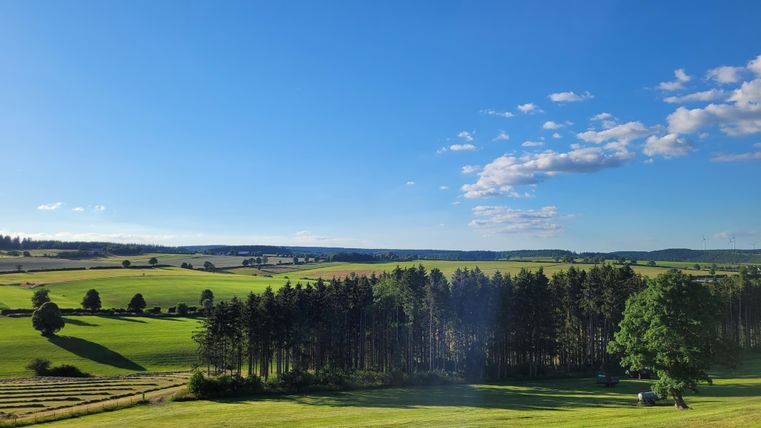 Eine weite Landschaft mit grünen Wiesen und einem klaren blauen Himmel. Im Vordergrund stehen Bäume, die die Szenerie umrahmen.