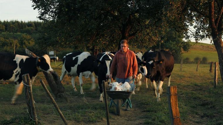Ein Bauer führt eine Schubkarre über eine Wiese. Im Hintergrund sind Kühe und ein Baum sichtbar.