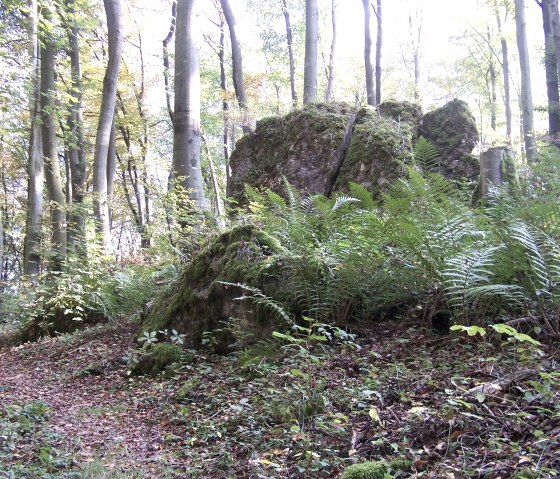 Rock Schönecker Schweiz, Archive TI Prüm