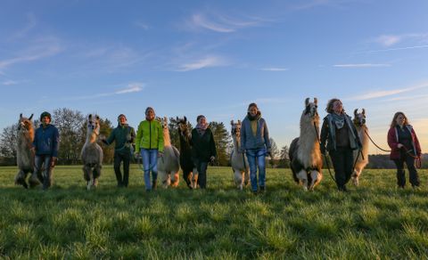 Eine Gruppe von Menschen spaziert mit Alpakas auf einer grünen Wiese. Im Hintergrund sind Bäume und Hügel zu sehen.
